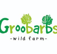 Groobox and Groobarbs Field Kitchen